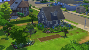 ansehen StarterHaus018e